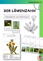 Vorschau - Arbeitsblätter - Löwenzahn (Aufbau & vom Löwenzahn zur Pusteblume) mit Tafelmaterial - Deckblatt
