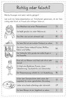 Vorschau - Arbeitsblätter - Leseübungen zum sinnentnehmenden Lesen: Richtig oder falsch? (Sommer) - Seite 3