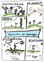 Vorschau - Poster - Kennzeichen des Lebendigen - Seite 1