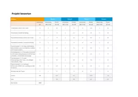 Vorschau - Anderer Materialtyp - Vorlage Projekte bewerten - Seite 1