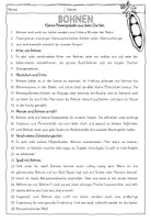 Vorschau - Mal- und Bastelvorlagen - Lesetext Bohne mit Zeichnung und Leistungsnachweis - Seite 2