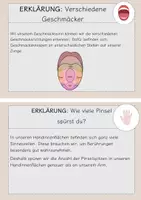 Vorschau - Stationenlernen - Stationsarbeit mit Experimenten zum Thema "Geschmackssinn" - Seite 3