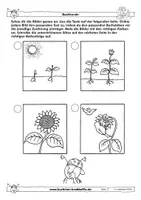 Vorschau - Arbeitsblätter - Sonnenblume - fächerübergreifende Arbeitsblätter - Karlchen-Krabbelfix - Seite 2