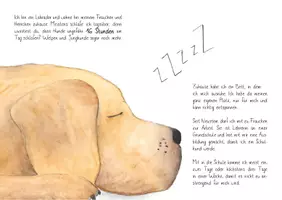 Vorschau - Unterrichtsreihen - Schulhund Buch Bilderbuch - digitale Version - Seite 3