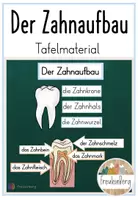 Vorschau - Präsentationen/Tafelbilder - Tafelmaterial: Der Zahnaufbau - Deckblatt