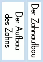 Vorschau - Präsentationen/Tafelbilder - Tafelmaterial: Der Zahnaufbau - Seite 2