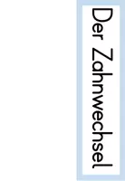 Vorschau - Präsentationen/Tafelbilder - Tafelmaterial - Der Zahnwechsel - Seite 2
