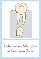 Vorschau - Präsentationen/Tafelbilder - Tafelmaterial - Der Zahnwechsel - Seite 3
