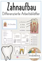 Vorschau - Arbeitsblätter - Zähne: Zahnaufbau - Arbeitsblätter - Deckblatt