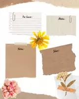 Vista previa - Manualidades / Dibujos para colorear - Bullet Journal para principiantes - página 2