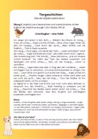 Vorschau - Arbeitsblätter - Deutsch Adjektive Adjektivdeklination DAF DAZ B1 - Seite 1