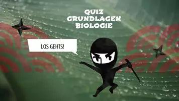 Vorschau - selbst erstellte Cliparts/Grafiken - Spiel zur Einführung Grundlagen Biologie - Seite 1