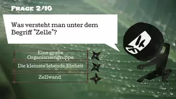 Vorschau - selbst erstellte Cliparts/Grafiken - Spiel zur Einführung Grundlagen Biologie - Seite 2