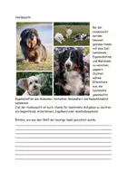 Vorschau - Arbeitsblätter - Vom Wolf zum Hund Aufgaben und Lösungen - Seite 3