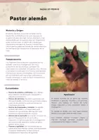 Vista previa - Hojas de trabajo - Fichas técnicas y características sobre razas de perros - página 2