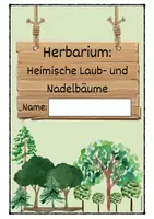 Vorschau - Arbeitsblätter - Herbarium Laub- und Nadelbäume für Grundschule - Seite 3