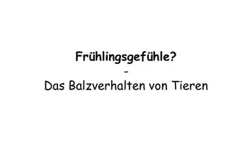 Vorschau - Stundenentwürfe - Balz Verhaltensbiologie - Kreative Unterrichtsstunde mit Arbeitsblättern zum Balzverhalten - Seite 2