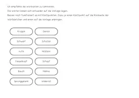 Vorschau - Aufgabenkarten - Reitpädagogik: Körperteile Pferd Freebie - Seite 3