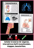 Vorschau - Unterrichtsreihen - Die Atmung BUNDLE | Der Mensch - digital + analog - Distanzunterricht + Homeschooling | Sofort einsetzbar - Seite 2