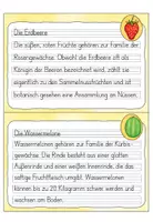 Vorschau - Aufgabenkarten - Abschreibkartei 2. Klasse: Früchte | Druckschrift - Seite 2
