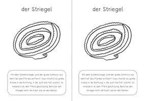 Vorschau - Arbeitsblätter - Reitpädagogik: Pferd Putzen Mini Heft Putzbox Freebie - Seite 2