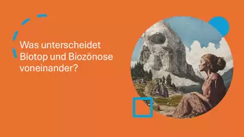 Vorschau - Präsentationen/Tafelbilder - Präsentation: Ökosysteme in der Biologie - Seite 1