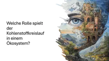 Vorschau - Präsentationen/Tafelbilder - Präsentation: Ökosysteme in der Biologie - Seite 2
