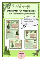 Vorschau - Merkblätter - Infokartei/Bestimmungskartei Nadelbäume - Deckblatt