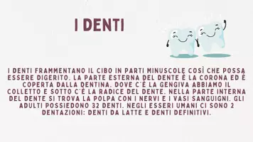 anteprima - Esercizi - L’APPARATO DIGERENTE - Pagina 2