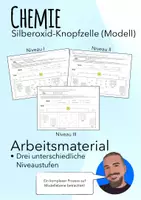 Vorschau - Arbeitsblätter - Die Zink-Silberoxid-Knopfzelle im Modell erklärt (Niveau1-3) - Deckblatt