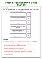 Vorschau - Arbeitsblätter - Farne- Vermehrung ohne Blüten | Unterrichtsreihe "Ökosystem Wald", Biologie Klasse 7 - Seite 2