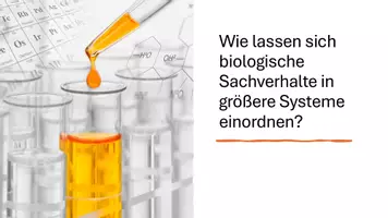Vorschau - Präsentationen/Tafelbilder - Biologische Sachverhalte und Zusammenhänge betrachten - Seite 2