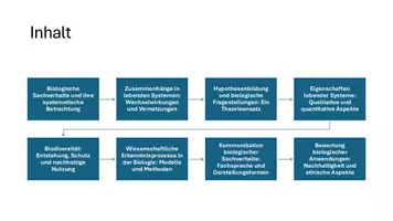 Vorschau - Präsentationen/Tafelbilder - Biologische Sachverhalte und Zusammenhänge betrachten - Seite 3