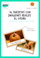Vista previa - Unidades / Secuencias / Situaciones de Aprendizaje - 16 TARJETAS CON IMÁGENES REALES EL OTOÑO - Portada