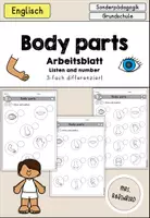 Vorschau - Arbeitsblätter - body parts Körperteile Arbeitsblatt differenziert - Englisch - Deckblatt