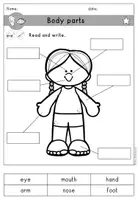 Vorschau - Arbeitsblätter - body parts Körperteile Arbeitsblatt differenziert - Englisch - Seite 2