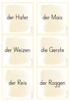 Vorschau - Spiele - Getreide: Spiel Paare finden - Seite 2