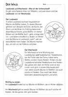 Vorschau - Arbeitsblätter - Laubwald - Mischwald - FREEBIE - Seite 2
