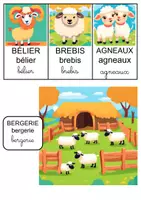Aperçu - Préparation de séquence / Séquence complète - Séquence animaux de la ferme - Page de couverture