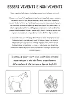 anteprima - Schede informative - Schede didattiche esseri viventi e non viventi - Pagina 1