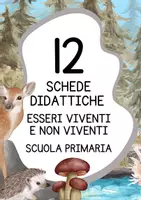 anteprima - Schede informative - Schede didattiche esseri viventi e non viventi - Pagina di copertina
