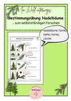 Vorschau - Arbeitsblätter - Bestimmungsübung Nadelbäume - Deckblatt