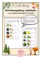 Vorschau - Arbeitsblätter - Bestimmungsübung Laubbäume - Deckblatt