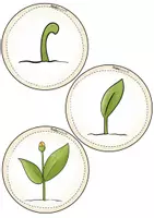 Vorschau - Poster - Symbole Pflanzen / Wachstum - Growth Mindset & Wachstumsdenken - Seite 3