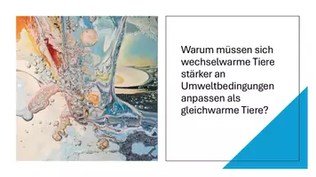 Vorschau - Präsentationen/Tafelbilder - Die Bergmannsche und Allensche Regel: Bedeutung für Lebewesen - Präsentation - Seite 1