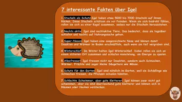 Vorschau - Mal- und Bastelvorlagen - Wolle-Igel Kunst Klasse 1-4 Digital Herbst Schritt für Schritt Anleitung - Seite 2
