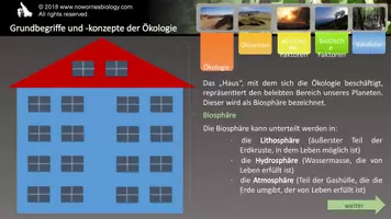 Vorschau - Arbeitsblätter - Ökologie - Grundbegriffe und -konzepte der Ökologie - Seite 3