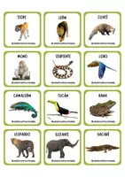 Vista previa - Juegos / Gamificación - JUEGO MEMOTEST ANIMALES DE LA SELVA - página 3
