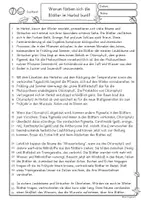 Vorschau - Unterrichtsreihen - Leseaufgabe Herbst, Sachtext Warum färben sich Blätter im Herbst? Lesen Klasse 3, 4, 5. - Seite 1
