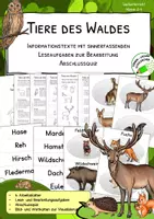 Vorschau - Arbeitsblätter - Waldtiere - Tiere des Waldes - sinnerfassendes Lesen - Arbeitsblätter - Deckblatt